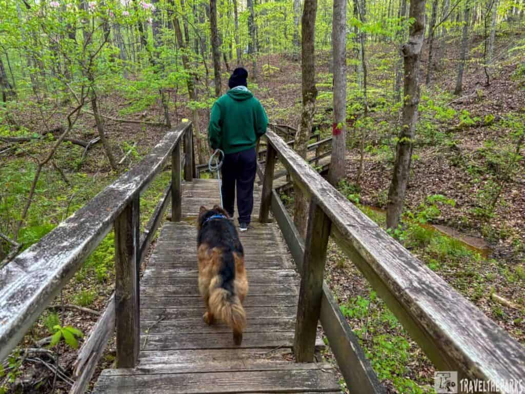 a person walking a large dog on a wooden bridge in a forested area. The person is wearing a green hoodie, dark pants, and a dark cap. They hold onto a leash as the dog walks slightly ahead. The bridge is made of weathered wood with railings on both sides, leading into a lush area with trees and green foliage. The ground below is covered with brown leaves, and there are various shades of green in the plants surrounding the bridge. A small creek or stream can be partially seen to the right. The atmosphere appears serene, indicative of a quiet nature trail.
