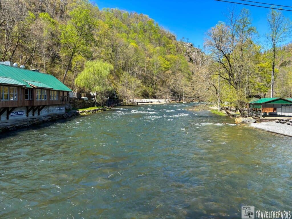 The Nantahala river flowing through a forested landscape with buildings on the left and right, featuring green roofs and signage about trout.