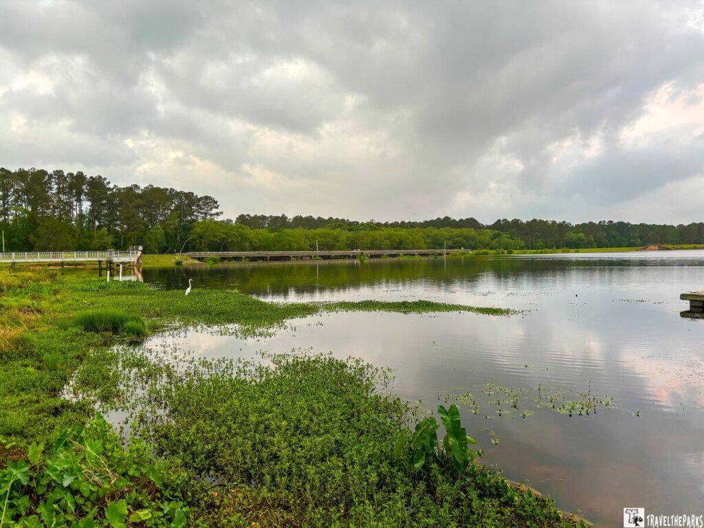 Serene lake scene at Reed Bingham State Park with a pier, greenery, a white bird, and a cloudy sky.