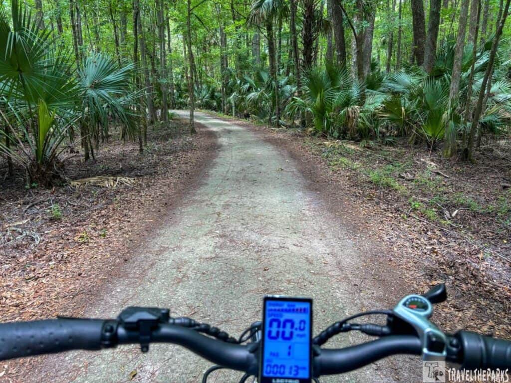A biking path in a lush forest at Silver Springs State Park, viewed from a cyclist's perspective with handlebars visible.