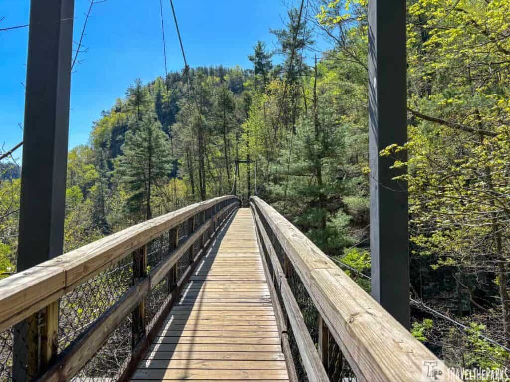 A wooden suspension bridge stretches into a forest at Tallulah Gorge State Park under a clear blue sky.