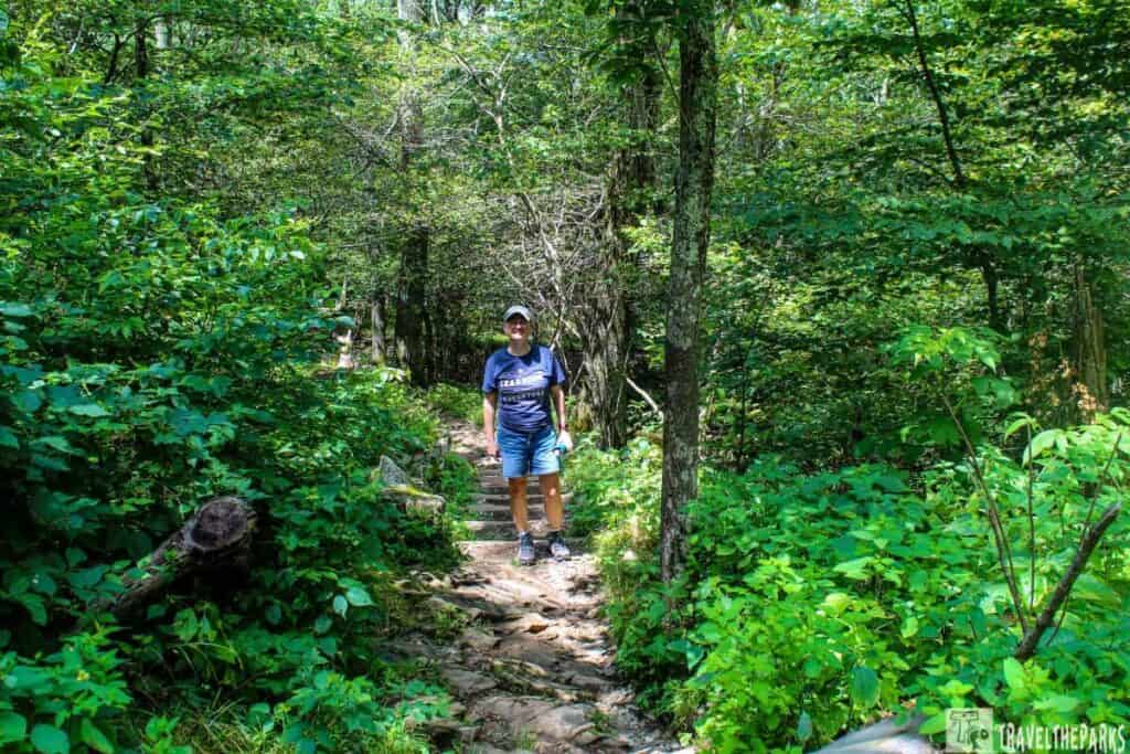 Person walking on a rocky path in a green forest, surrounded by dense foliage.