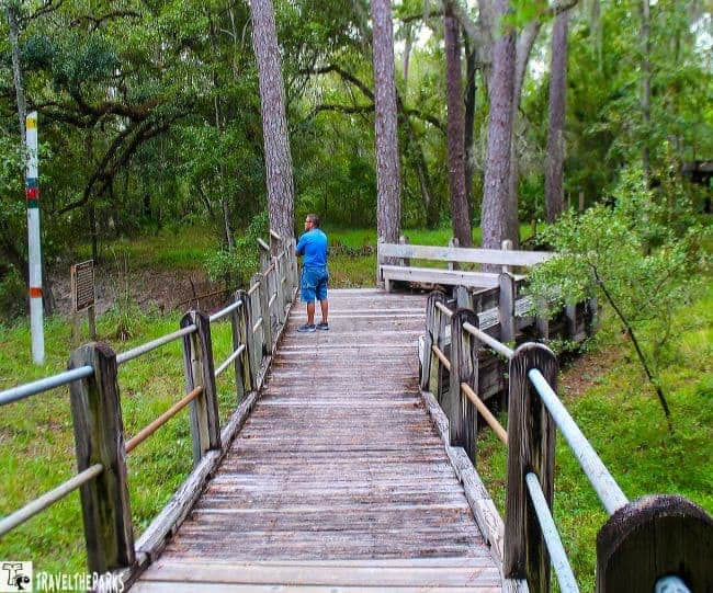 Person walking on a wooden boardwalk through a forested area.
