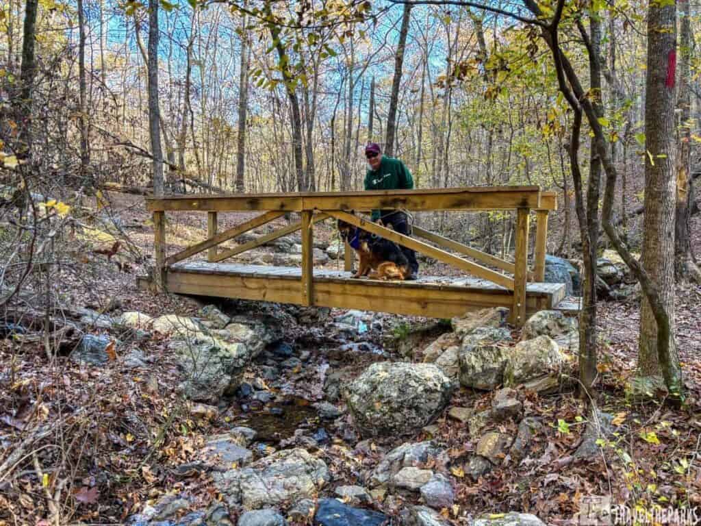 A wooden footbridge over a rocky stream in a leaf-covered, forested area with a person and dog on the Falls branch Trail in Lake Catherine State Park.