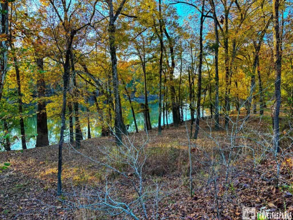 Autumn forest with yellow and orange foliage, and a lake in the background under a clear blue sky.