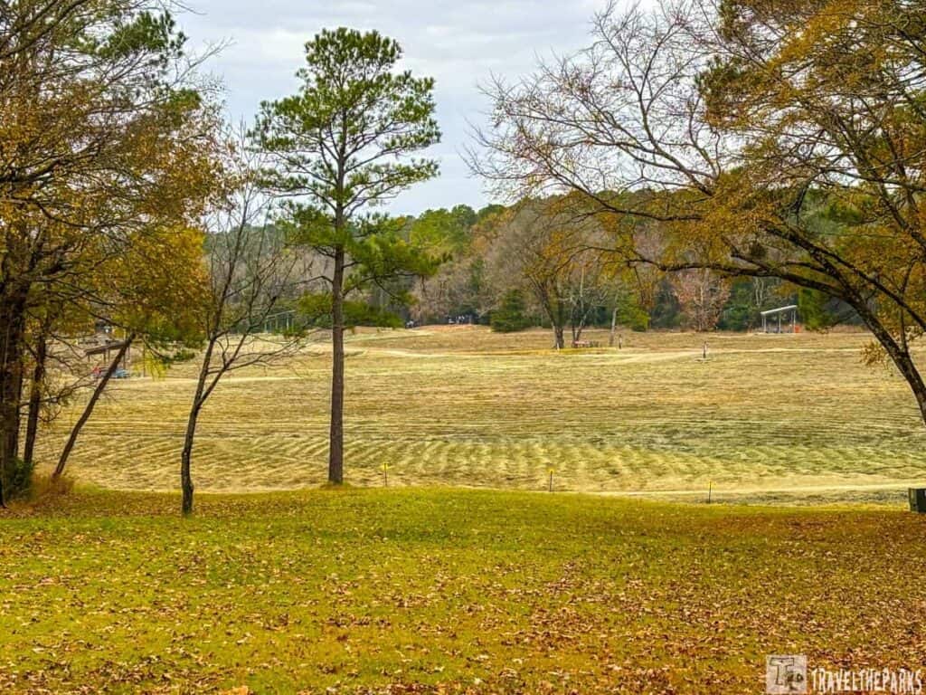 An open field with scattered trees and fallen leaves, with an overcast sky.