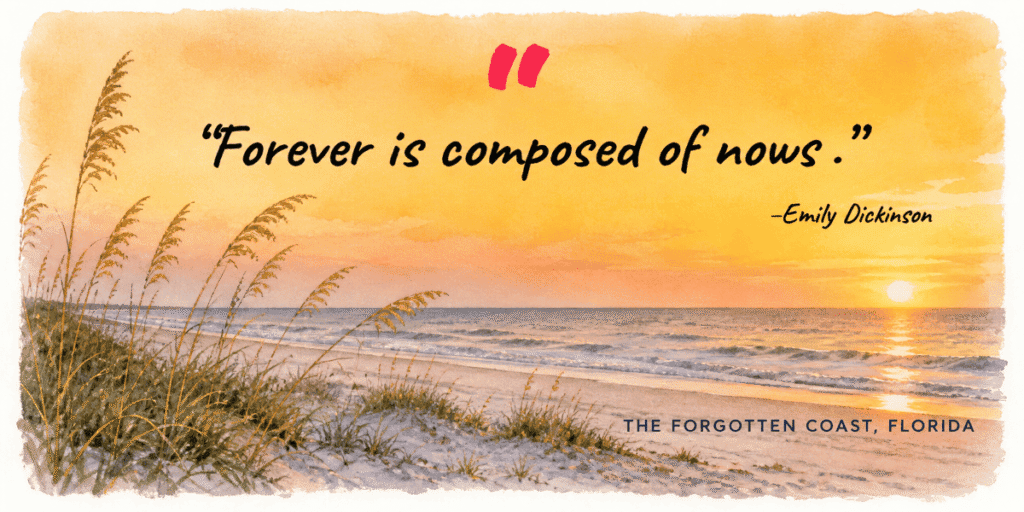 Forgotten Coast Florida: “Forever is composed of nows.”—Emily Dickinson