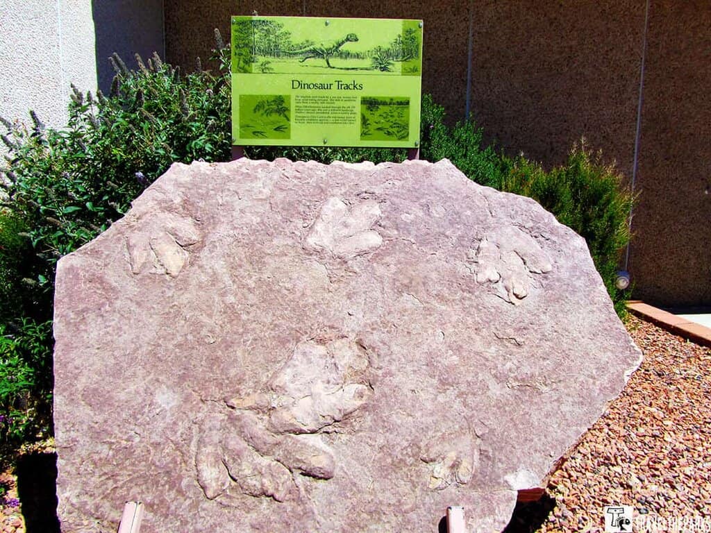 A large stone slab with dinosaur footprints, accompanied by an informational sign, outside in a landscaped area.