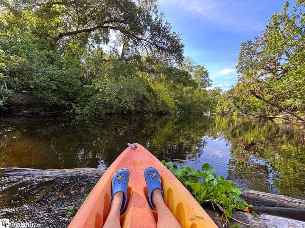 Orange kayak on a calm river surrounded by lush green trees.