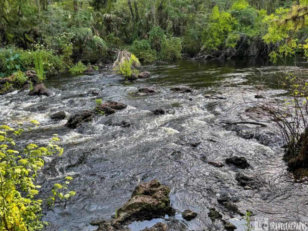 Flowing river with rapids and surrounding lush greenery.