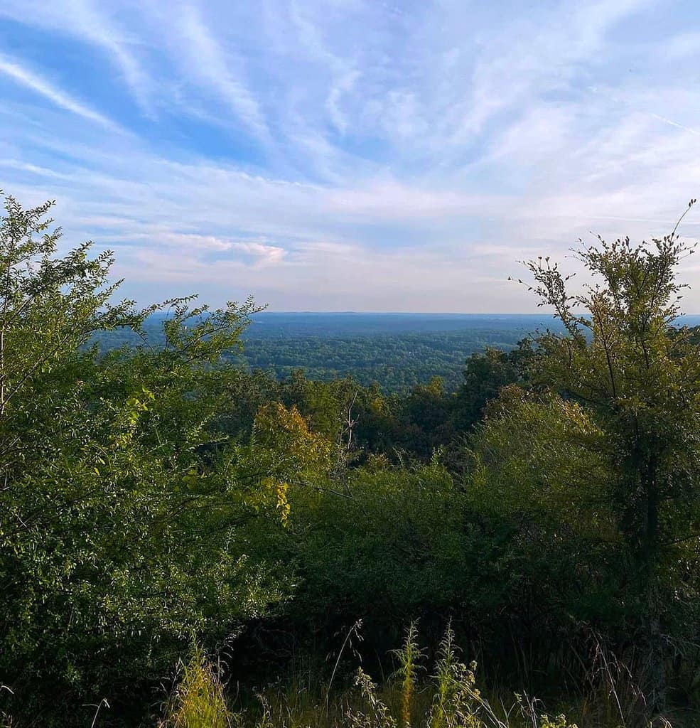 View of dense greenery and distant rolling hills under a blue sky with wispy clouds.