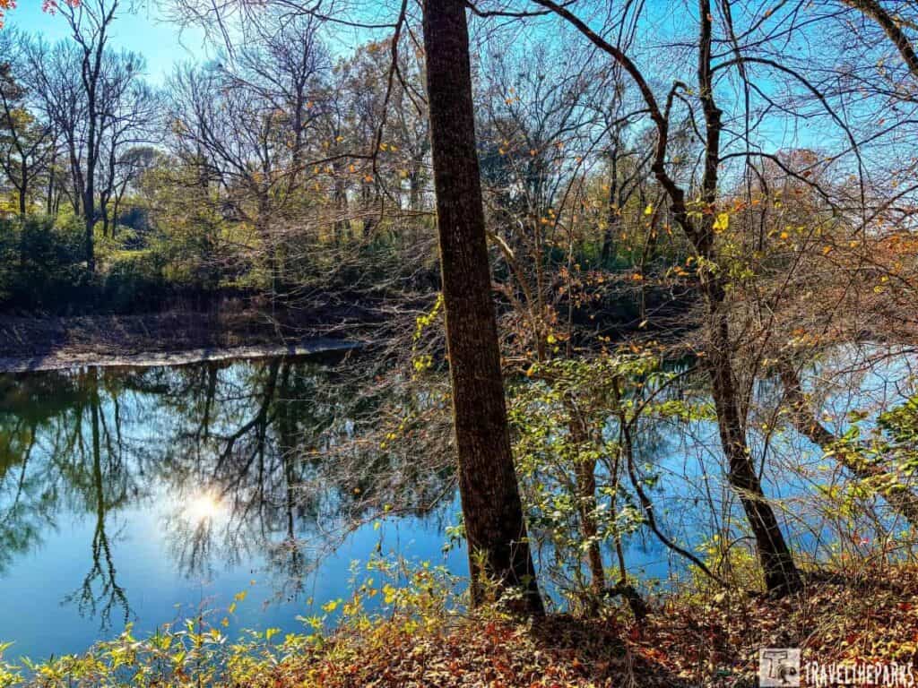 A tranquil river scene surrounded by bare trees with a clear blue sky and sunlight reflecting on the water.