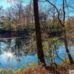 A tranquil river scene surrounded by bare trees with a clear blue sky and sunlight reflecting on the water.
