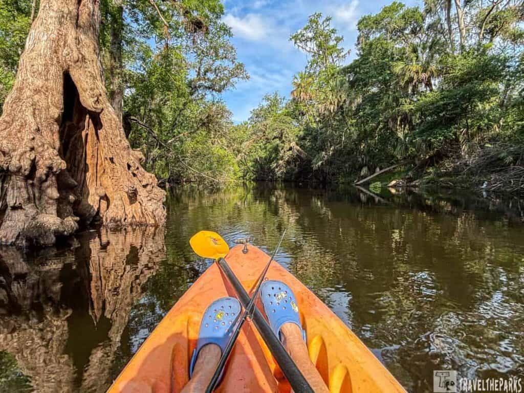 a serene scene from Hillsborough River State Park, taken from the perspective of someone sitting in an orange kayak. At the forefront, a pair of legs wearing blue Crocs with decorative holes is visible, resting inside the kayak. A double-bladed paddle lies across the kayak's edge. The water is calm, reflecting the lush green foliage that surrounds both sides of the river. To the left, a massive, textured cypress tree with a thick trunk stretches into the water. The background is filled with dense, verdant trees and undergrowth, under a clear blue sky with patches of white clouds.