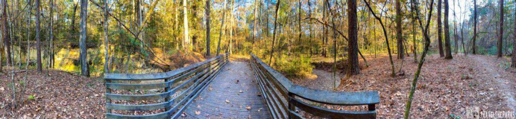 A wooden boardwalk in a sunlit forest with tall trees and fallen leaves.

