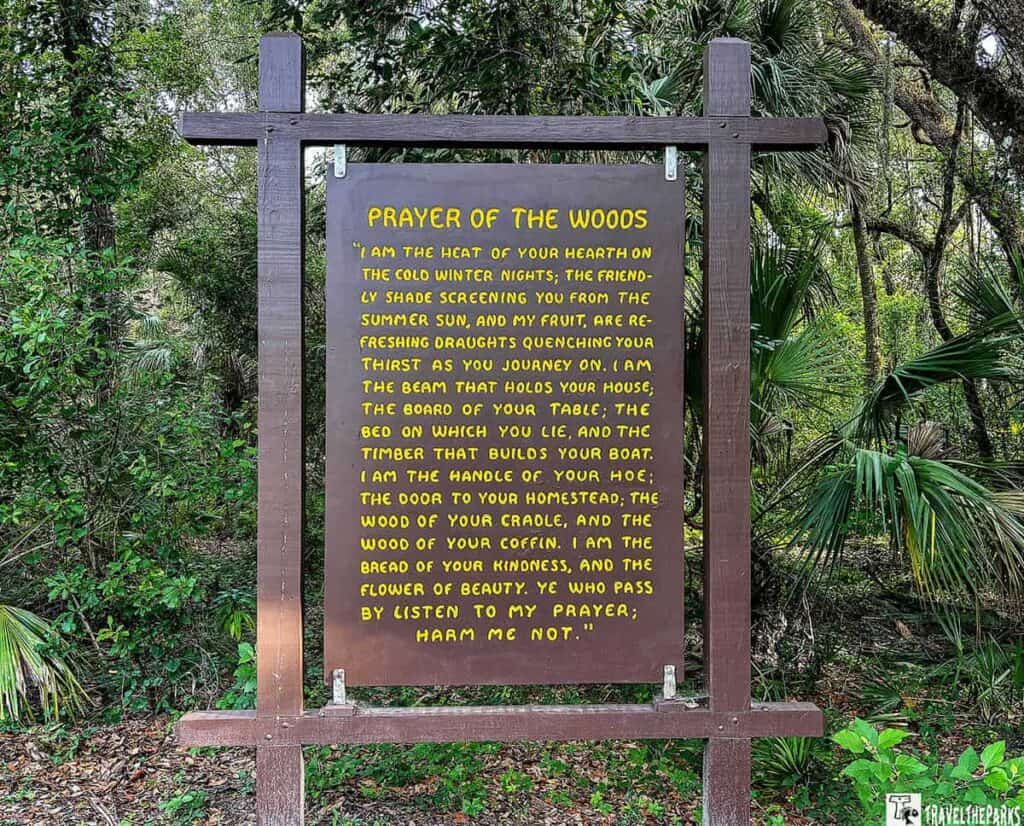 wooden sign in a forest setting. The sign is mounted on a sturdy wooden frame composed of horizontal and vertical beams. The sign is dark brown with text in bright yellow. Surrounding the sign, dense greenery is visible, including trees with slender trunks, leafy shrubs, and patches of ferns. The forest appears lush and vibrant, creating a natural backdrop for the sign.