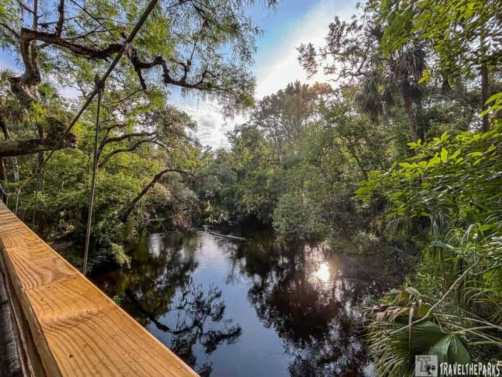 A peaceful river with overhanging trees and sunlight reflecting on the water, bordered by a wooden railing.