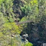 A wooden suspension bridge spans a lush forested Tallulah Gorge State Park with rocky cliffs and a river below.
