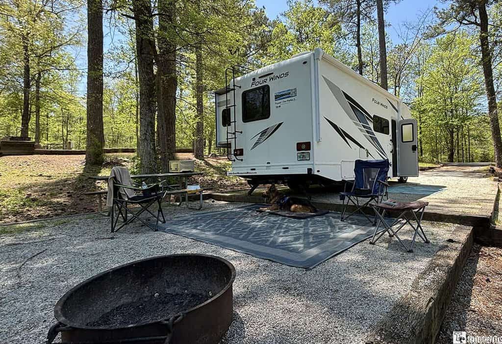 Campsite with a white RV, folding chairs, a table, a dog, and a fire pit among trees.