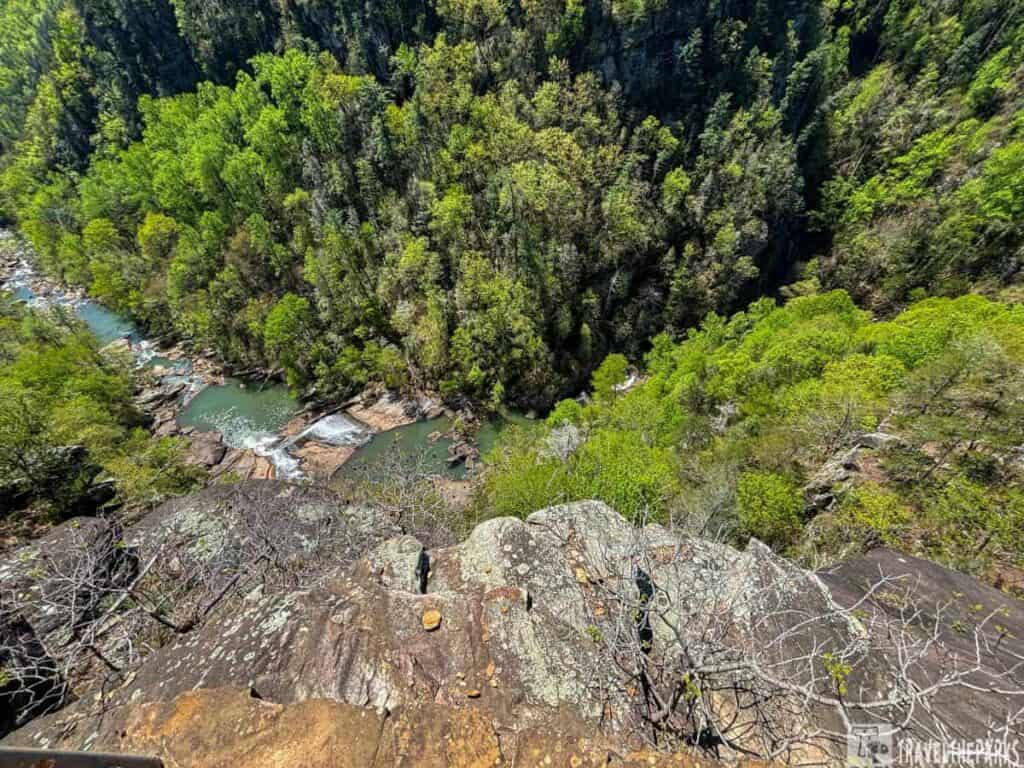 a view from a high vantage point looking down into a lush, green gorge. At the bottom, a river with turquoise water flows through the rocky terrain, with small waterfalls visible. The sides of the gorge are densely covered with green trees and vegetation, suggesting a vibrant, untouched natural environment. The foreground features rocky, uneven terrain with patches of moss and small plants, adding texture to the scene.