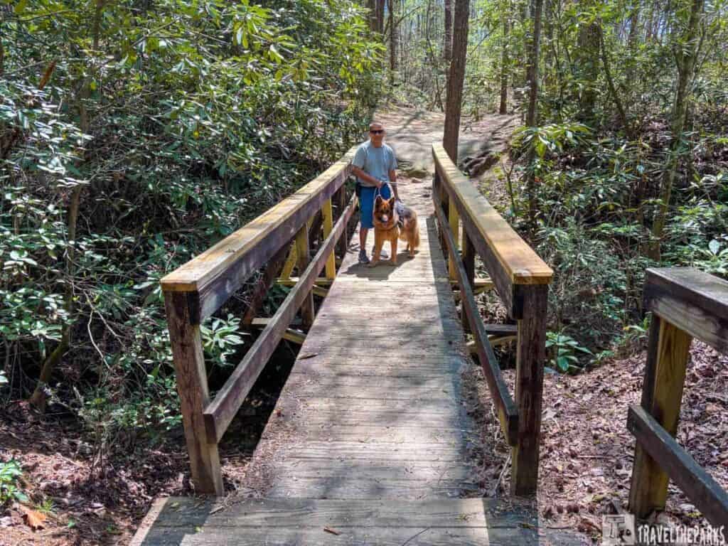 a wooden footbridge in a forested area. A person wearing a blue shirt and sunglasses stands on the bridge, holding the leash of a German Shepherd. The bridge's structure is made of wooden planks and railings, extending over a small, leaf-covered area. The surrounding environment is lush with green foliage and trees, casting dappled sunlight across the scene. The bridge appears sturdy, with natural wear visible on the wood, indicating frequent use.