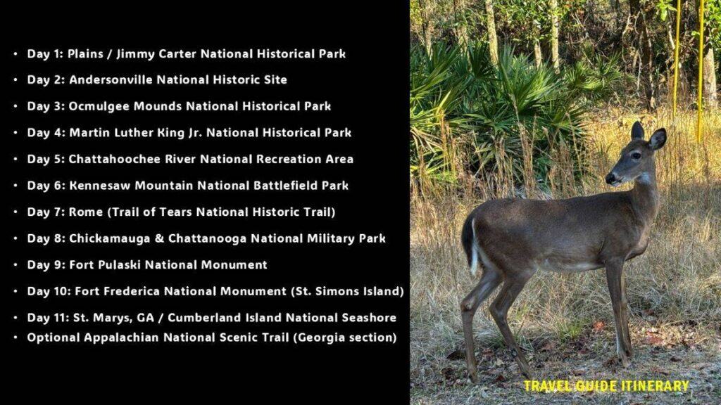 Image of a travel itinerary next to a deer in a natural setting.
