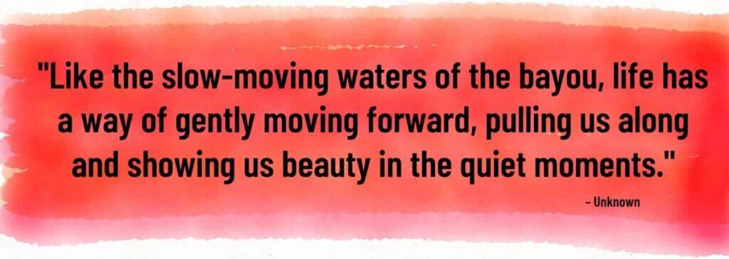 "Like the slow-moving waters of the bayou, life has a way of gently moving forward, pulling us along and showing us beauty in the quiet moments." – Unknown