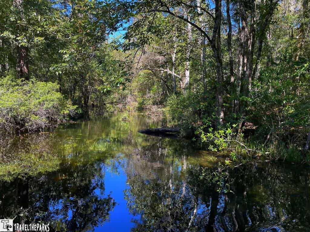 Serene landscape of Wakulla Springs with calm water reflecting blue sky and lush greenery.