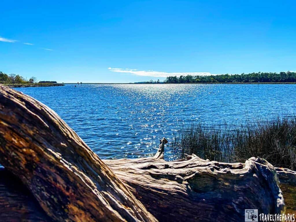 Scenic river view at San Marcos de Apalache with driftwood in the foreground, sparkling water under a blue sky, and distant tree line.