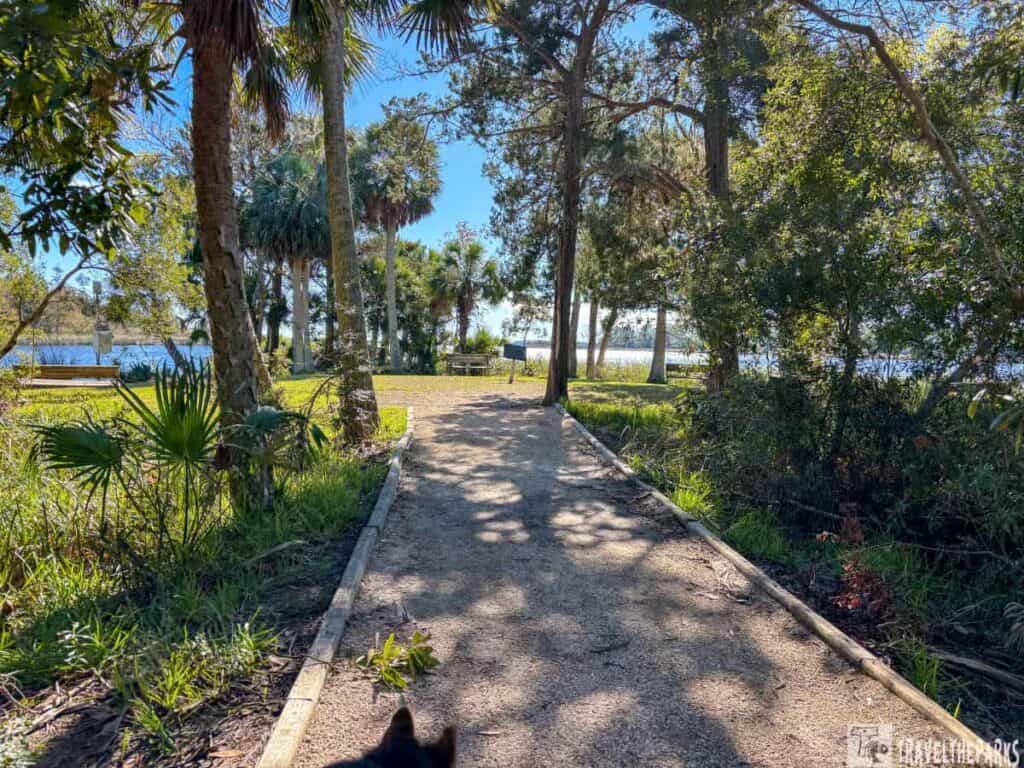 A dirt path surrounded by trees and greenery leads to a water view with benches at Luther Tucker Point.