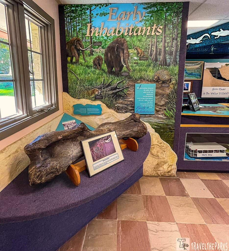 Museum exhibit with a mural titled "Early Inhabitants" showing mammoths, and a fossilized bone on display.