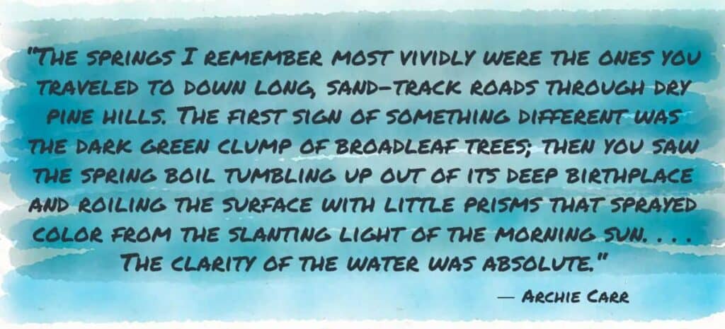 “The springs I remember most vividly were the ones you traveled to down long, sand-track roads through dry pine hills. The first sign of something different was the dark green clump of broadleaf trees; then you saw the spring boil tumbling up out of its deep birthplace and roiling the surface with little prisms that sprayed color from the slanting light of the morning sun. . . . The clarity of the water was absolute.“― Archie Carr