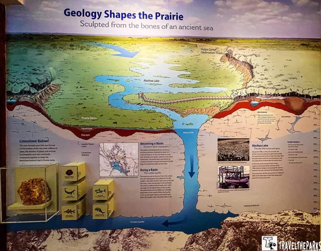 Geology Shapes the Prairie exhibit panel detailing the geology and water systems of Paynes Prairie with illustrations and text.