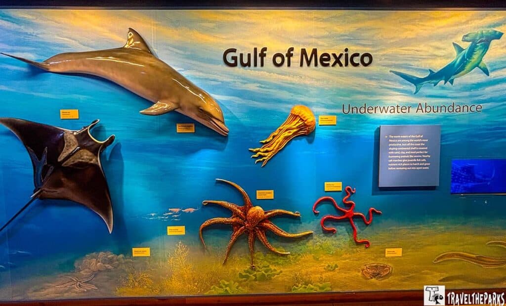 Indoor aquatic exhibit with fish models, blue lighting, and educational display.
