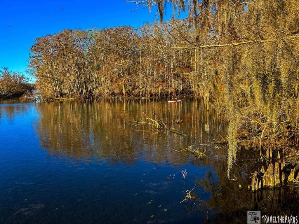 A person kayaking on a reflective river surrounded by trees covered with Spanish moss at Manatee Springs State Park.