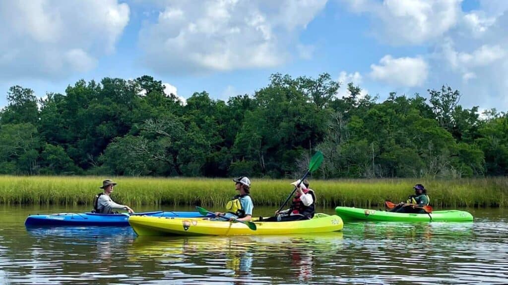 Four people kayaking on calm water with trees and grasses in the background.