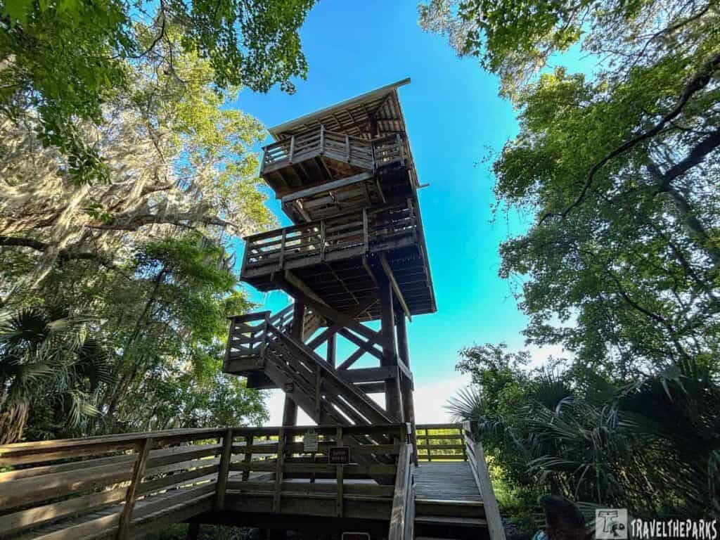 Wooden observation tower in a forested area with a blue sky.