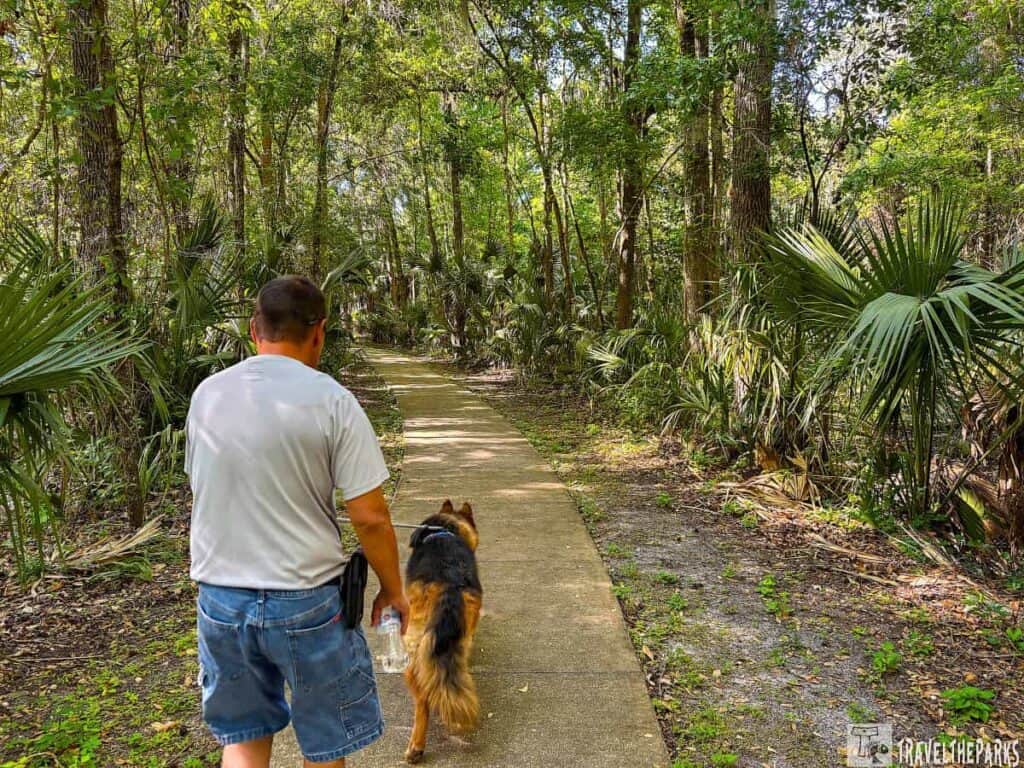 A man walks a German Shepherd along a forest path in Paynes Prairie Preserve State Park.