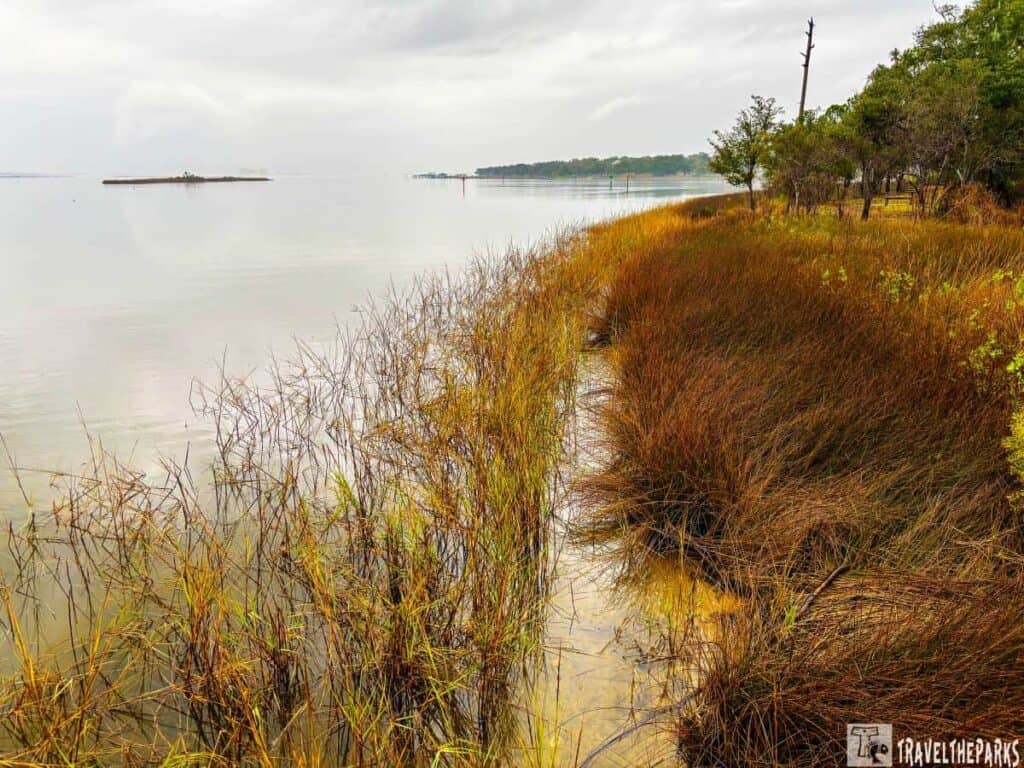 Tranquil bay with calm water, tall grasses, and trees under an overcast sky.