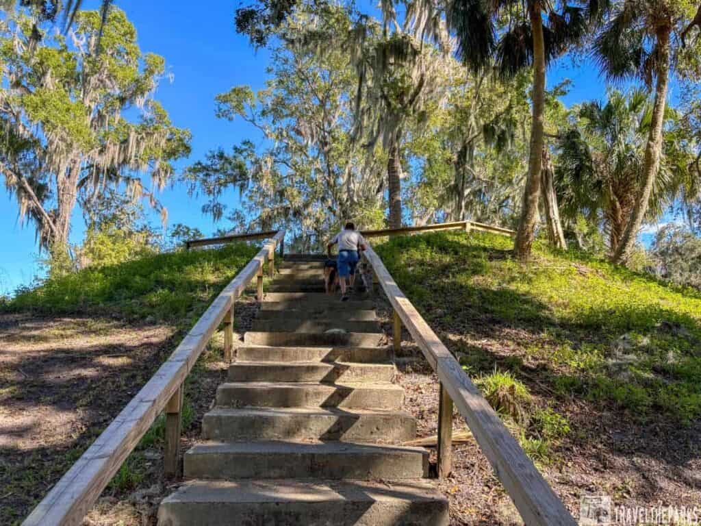 Concrete steps with wooden railings leading through a verdant, tree-filled area under a clear blue sky.