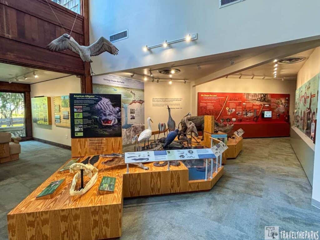Interior of a visitor center with exhibits on natural history and taxidermy birds at Paynes Prairie Preserve State Park.