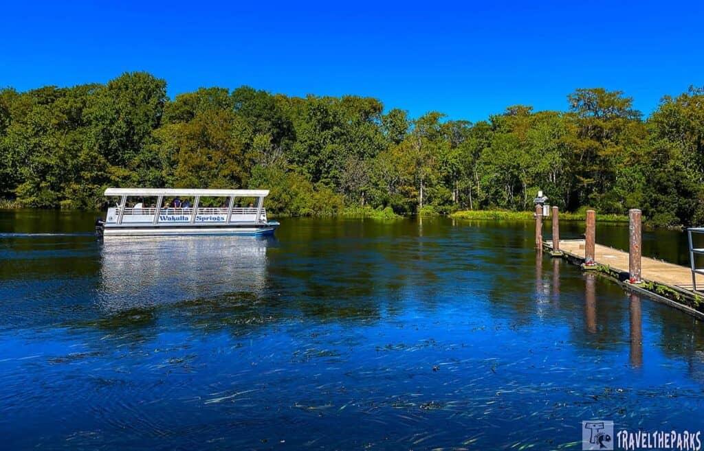 Wakulla Springs, part of Florida's Nature Coast. A calm river dominates the foreground, with a smooth surface reflecting the clear blue sky. To the left, a covered boat is navigating the water, carrying seated passengers. The boat is white with a flat roof and is labeled "Wakulla Springs." On the right, a wooden dock extends from the riverbank into the water, supported by evenly spaced pylons. In the background, a dense line of trees forms a lush green backdrop, separating the river from the sky.