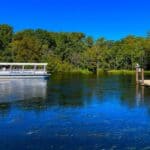 Wakulla Springs, part of Florida's Nature Coast. A calm river dominates the foreground, with a smooth surface reflecting the clear blue sky. To the left, a covered boat is navigating the water, carrying seated passengers. The boat is white with a flat roof and is labeled "Wakulla Springs." On the right, a wooden dock extends from the riverbank into the water, supported by evenly spaced pylons. In the background, a dense line of trees forms a lush green backdrop, separating the river from the sky.