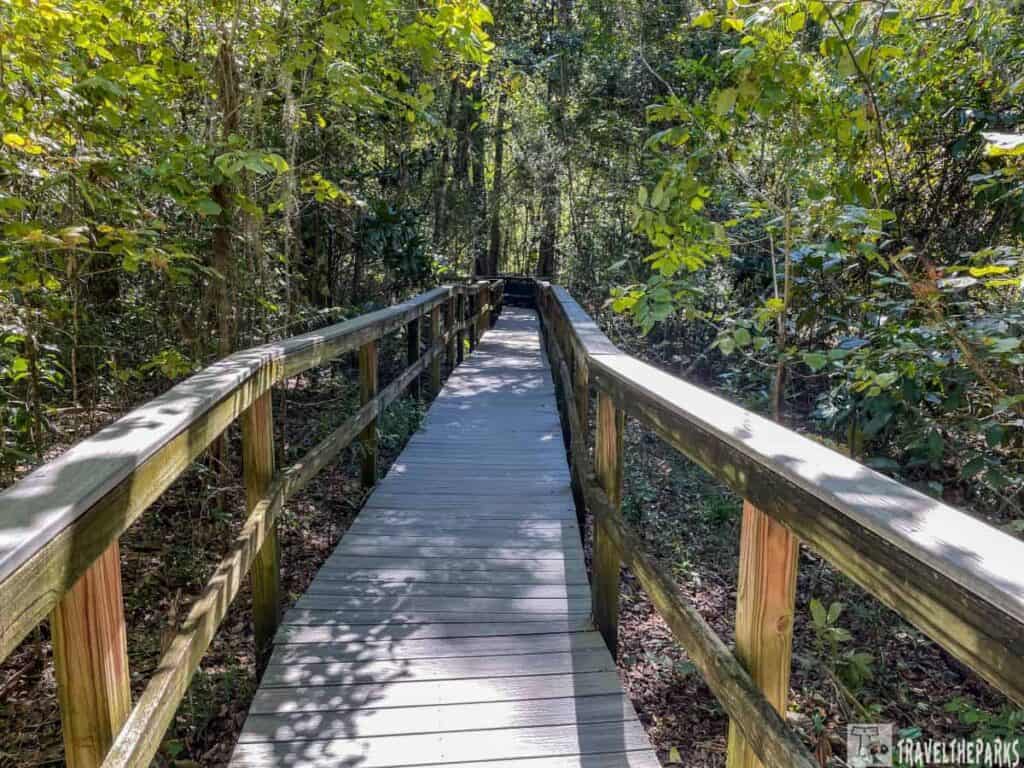 A wooden boardwalk leading through a lush green forest at Wakulla Springs State Park.