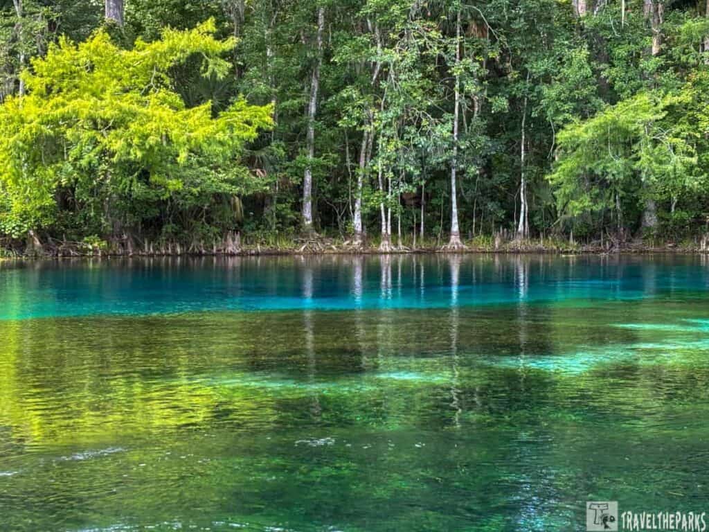 A clear body of water with green and blue hues, bordered by lush green trees.