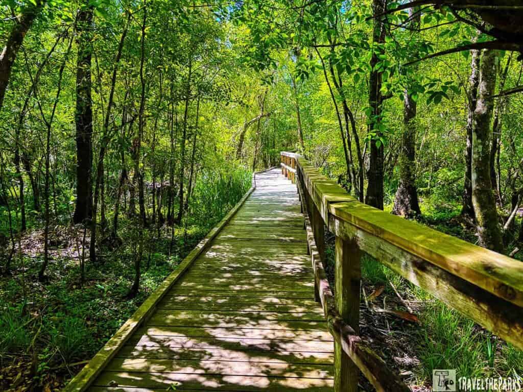 Paynes Creek Historic State Park wooden boardwalk through a lush green forest with sunlight filtering through the trees.