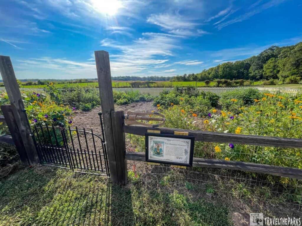 A sunny heirloom garden at Prophetstown State Park with a wooden fence and colorful flowers under a blue sky.