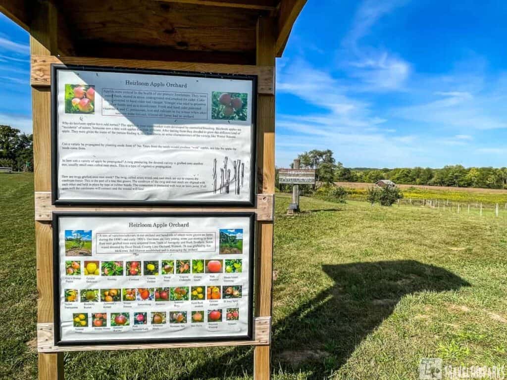 Informational display about an Heirloom Apple Orchard in a grassy field under a blue sky.