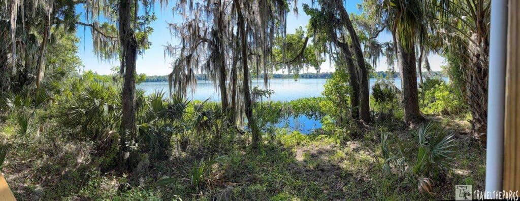A peaceful landscape of Paynes Prairie featuring trees with Spanish moss, lush greenery, and a lake under a clear blue sky.