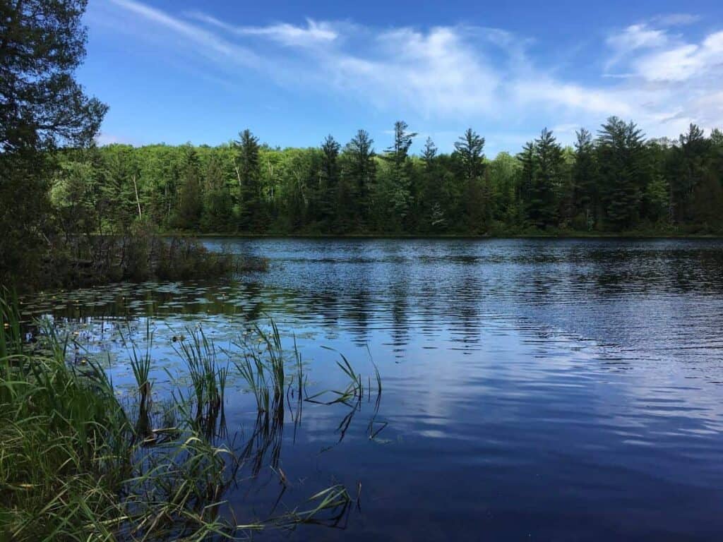 Little Beaver Lake is surrounded by green grasses, shrubs, and trees. NPS photo.